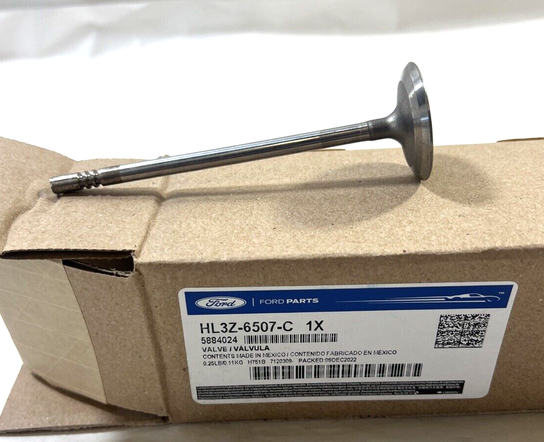 Genuine OEM Ford F-150 Expedition Intake Valve 2017-2023 HL3Z6507C