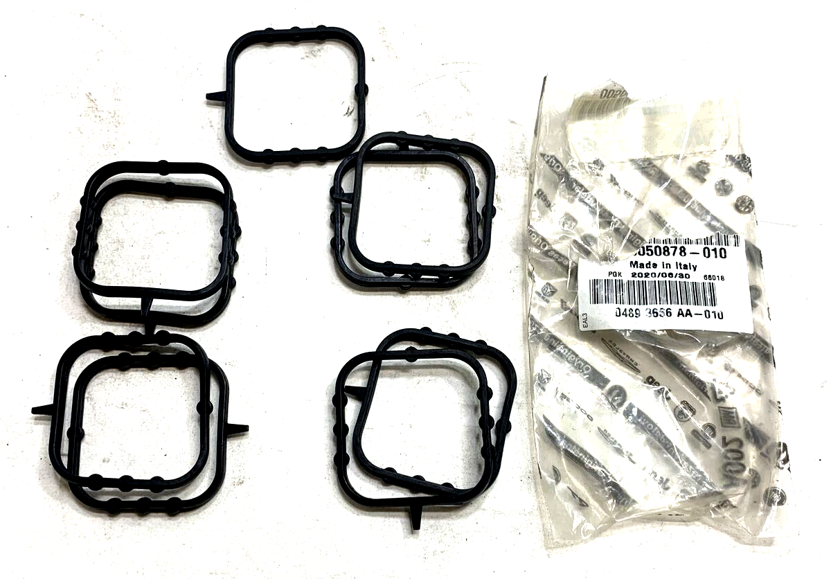 1 Single* New OEM Mopar Wrangler 18-21 Water Pump Mounting Gasket 4893666AA